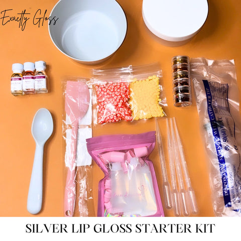 SILVER LIPGLOSS STARTER KIT